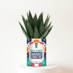 Belle plante, mauvais caractère - Plante personnalisée à offrir à une amie