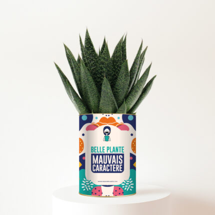 Belle plante, mauvais caractère - Plante personnalisée à offrir à une amie