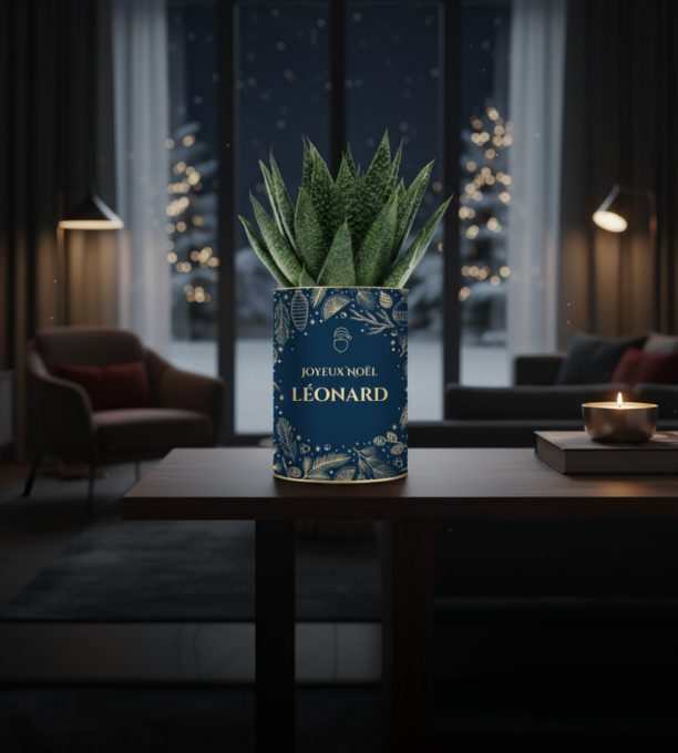 Plante personnalisé pour Noël