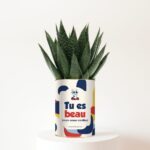 Tu es beau (mais casse-couilles) - Plante personnalisée humour pour un ami