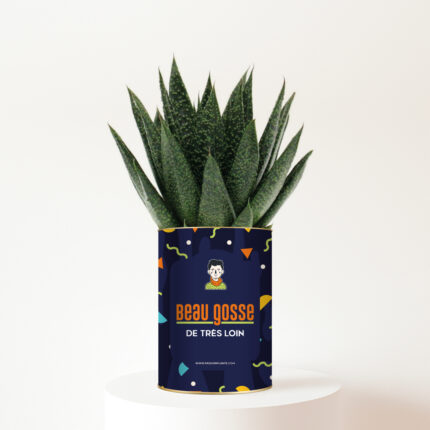 Beau gosse de très loin - Succulente personnalisée - Cadeau humour pour un ami