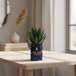 Beau gosse de très loin - Succulente personnalisée - Cadeau humour pour un ami