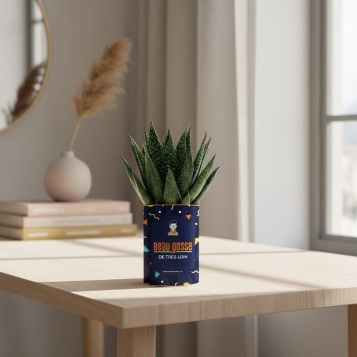 Beau gosse de très loin - Succulente personnalisée - Cadeau humour pour un ami