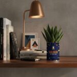 Beau gosse de très loin - Succulente personnalisée - Cadeau humour pour un ami