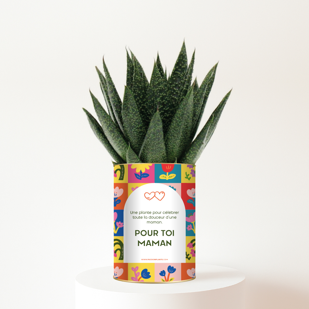 Aloe personnalisé Pour toi Maman - Cadeau plein de douceur
