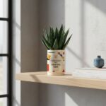 Un cadeau tendre et design pour Papa - Aloe Vera Gasteria personnalisée