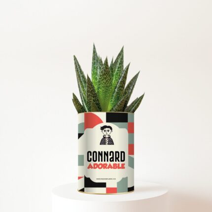 Connard adorable - Succulente personnalisée humour - Le cadeau fun et tendre pour un ami