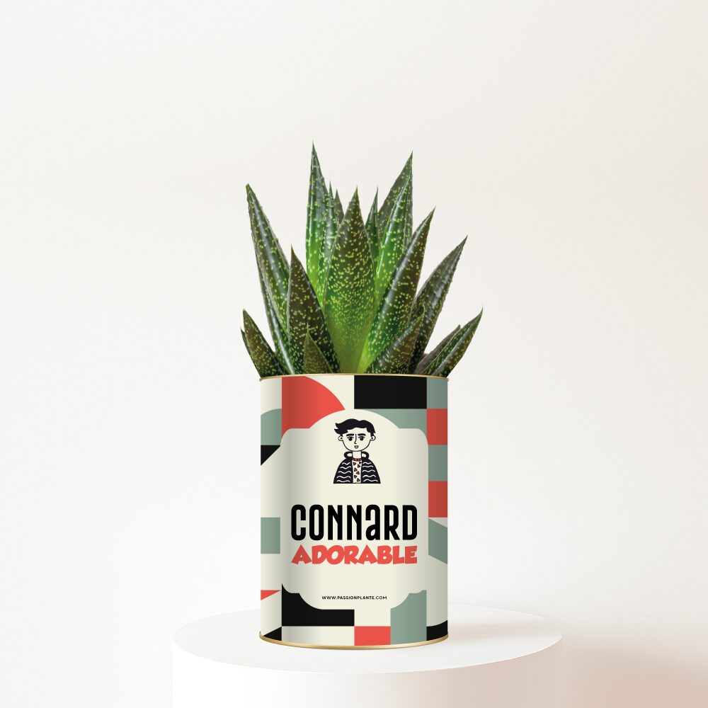 Plante-connard-adorable Connard adorable - Succulente personnalisée humour - Le cadeau fun et tendre pour un ami
