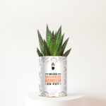 Miss mauvaise humeur en pot - Plante personnalisée humoristique - Cadeau amitié pour elle