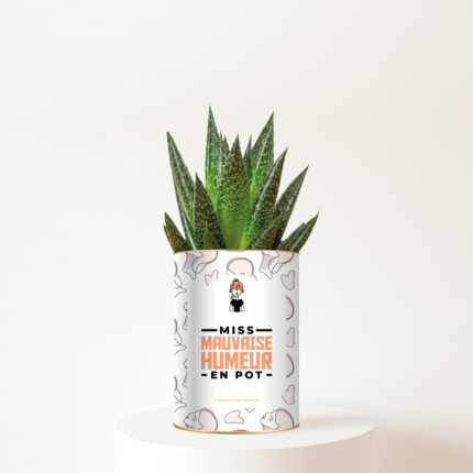 Miss mauvaise humeur en pot - Plante personnalisée humoristique - Cadeau amitié pour elle
