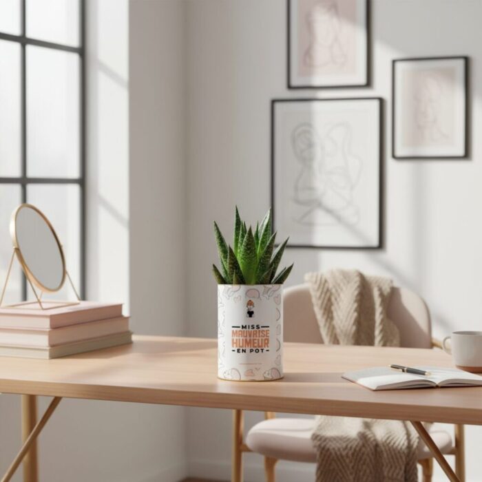 Miss mauvaise humeur en pot - Plante personnalisée humoristique - Cadeau amitié pour elle