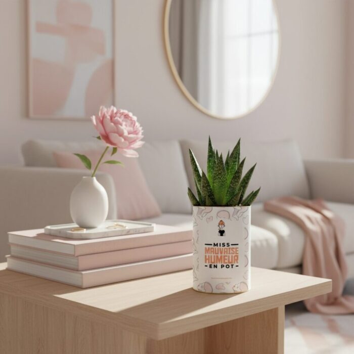 Miss mauvaise humeur en pot - Plante personnalisée humoristique - Cadeau amitié pour elle