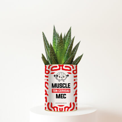 Muscle ton cerveau mec - Plante personnalisée humour pour un ami
