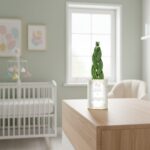 Bienvenue petite pousse, le bonheur commence ici - Sansevieria personnalisée naissance