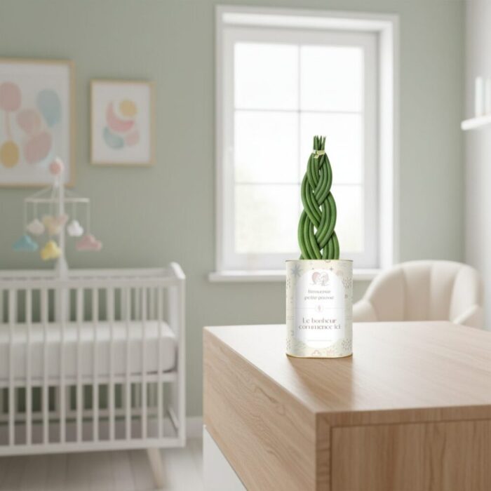 Bienvenue petite pousse, le bonheur commence ici - Sansevieria personnalisée naissance