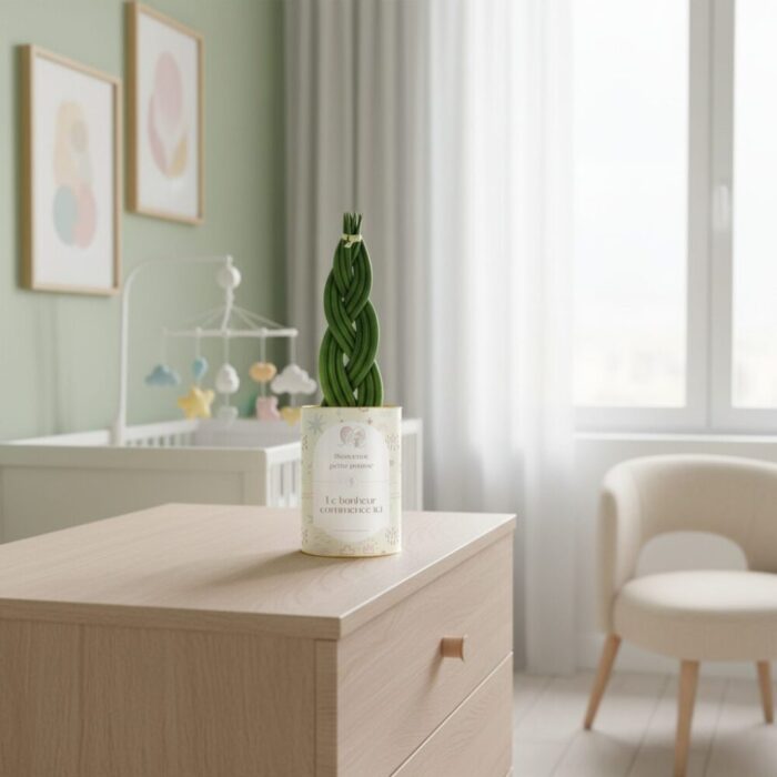 Bienvenue petite pousse, le bonheur commence ici - Sansevieria personnalisée naissance