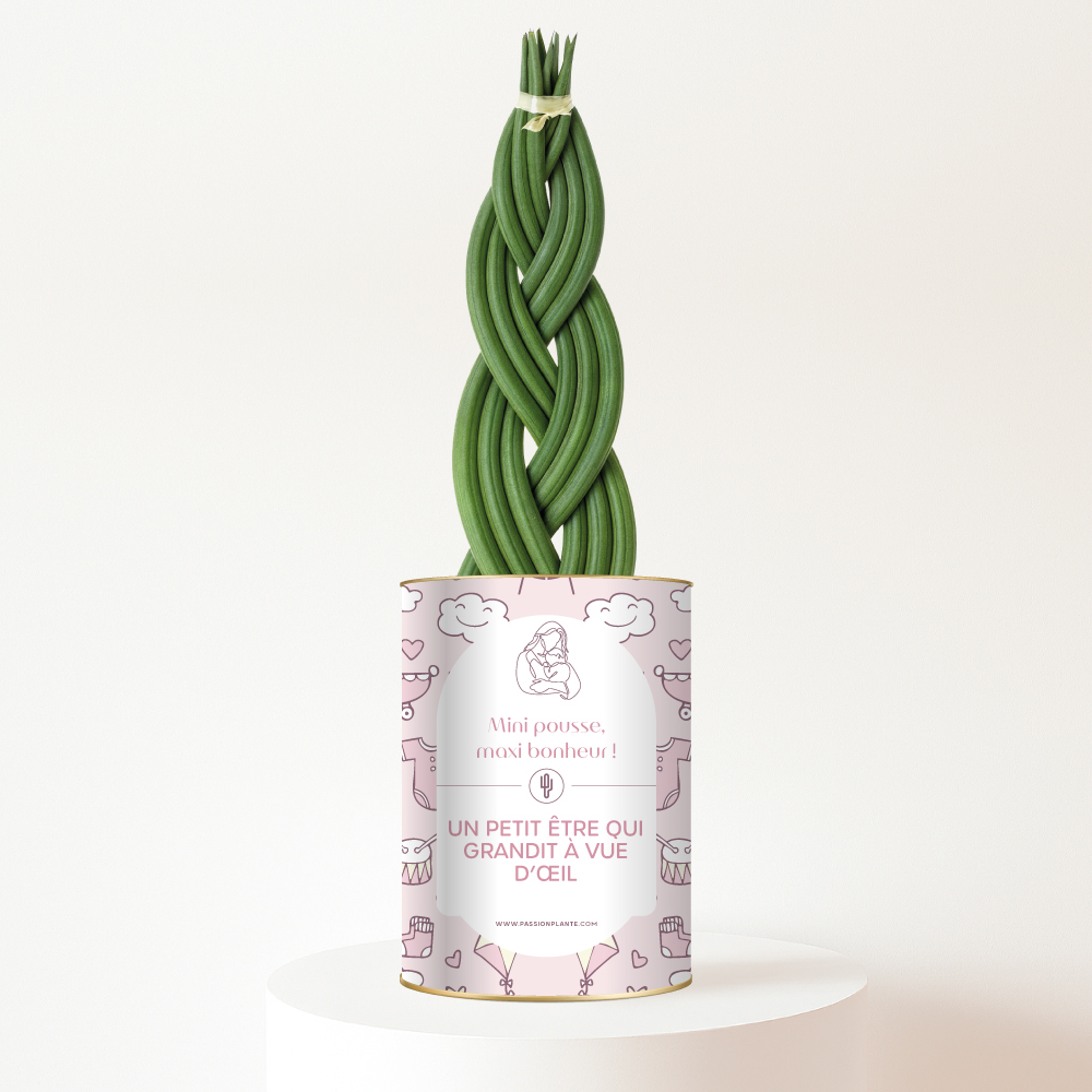 Mini pousse, maxi bonheur - Plante personnalisée Naissance fille