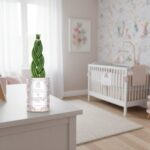 Mini pousse, maxi bonheur - Plante personnalisée Naissance fille