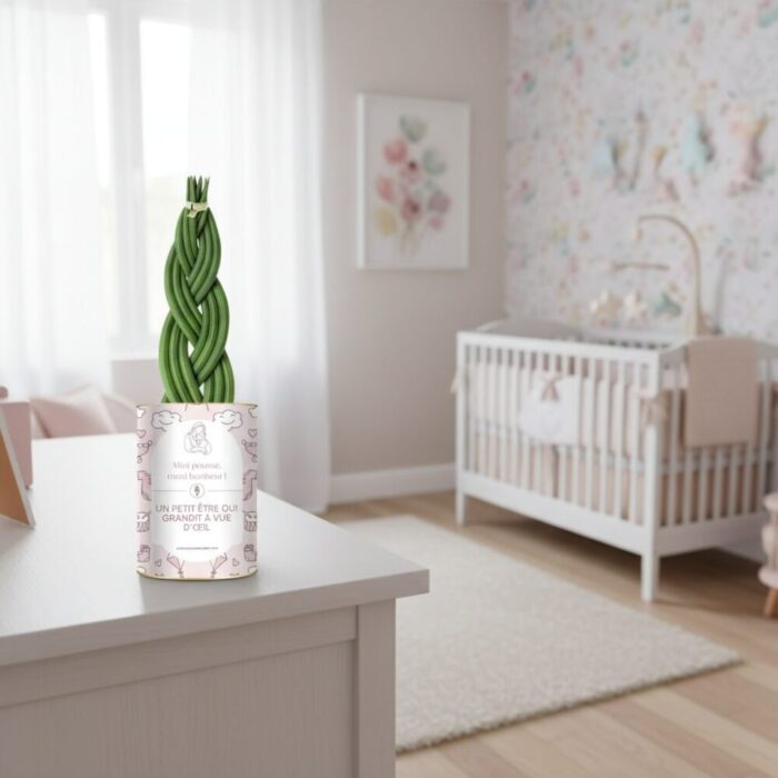 Mini pousse, maxi bonheur - Plante personnalisée Naissance fille