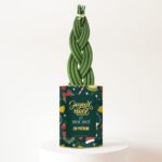 Plante personnalisée Noël 2026