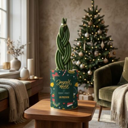Plante personnalisée Noël 2026