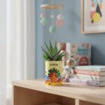 Plante personnalisée enfant – Gasteria avec personnage cartoon et prénom