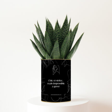 Le cadeau humoristique pour une amie chic… et impossible à gérer - Plante personnalisable