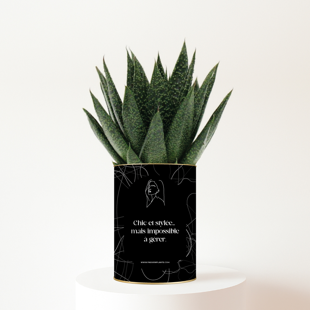 Plante-personnalisable-Chic-impossible-à-gerer Le cadeau humoristique pour une amie chic… et impossible à gérer - Plante personnalisable