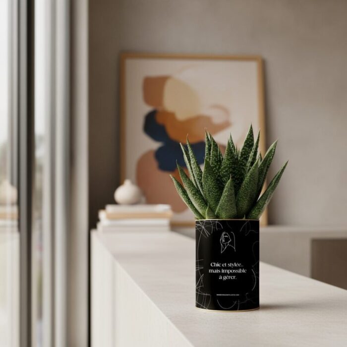 Le cadeau humoristique pour une amie chic… et impossible à gérer - Plante personnalisable