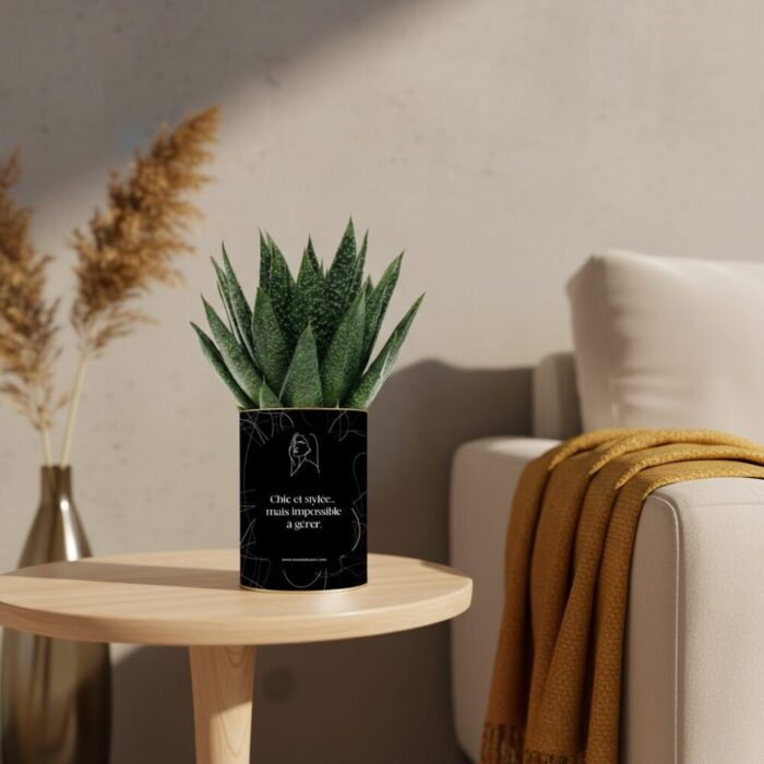 Le cadeau humoristique pour une amie chic… et impossible à gérer - Plante personnalisable