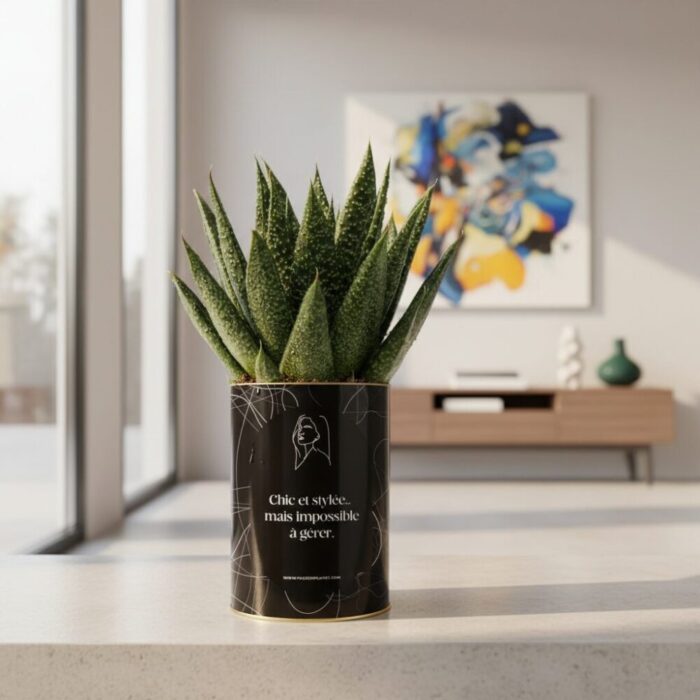 Le cadeau humoristique pour une amie chic… et impossible à gérer - Plante personnalisable