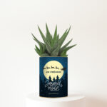 Gasteria magique avec prénom et design féerique - Plante personnalisée Noël