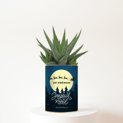 Gasteria magique avec prénom et design féerique - Plante personnalisée Noël