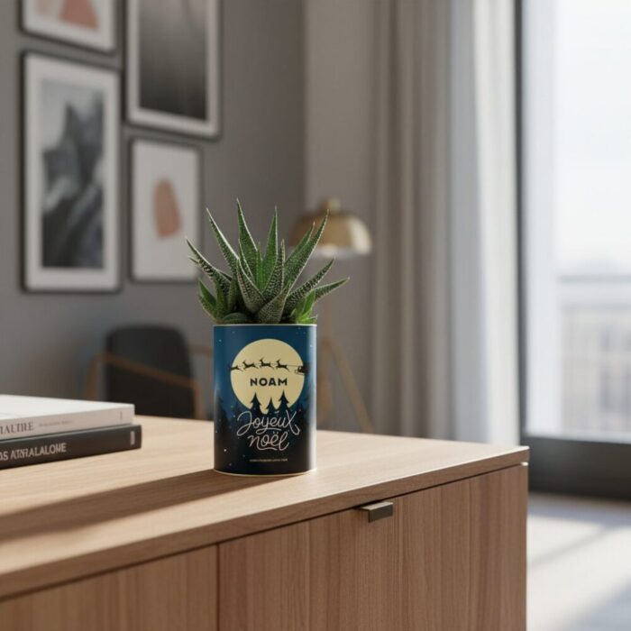 Gasteria magique avec prénom et design féerique - Plante personnalisée Noël