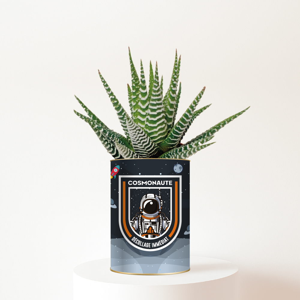 Plante-personnalisee-Cosmonaute Cosmonaute : Décollage immédiat vers les rêves - Plante personnalisée enfant
