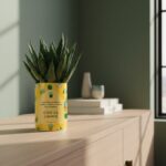 C’est ça, l’amitié - Plante personnalisée amitié Haworthia Gasteria