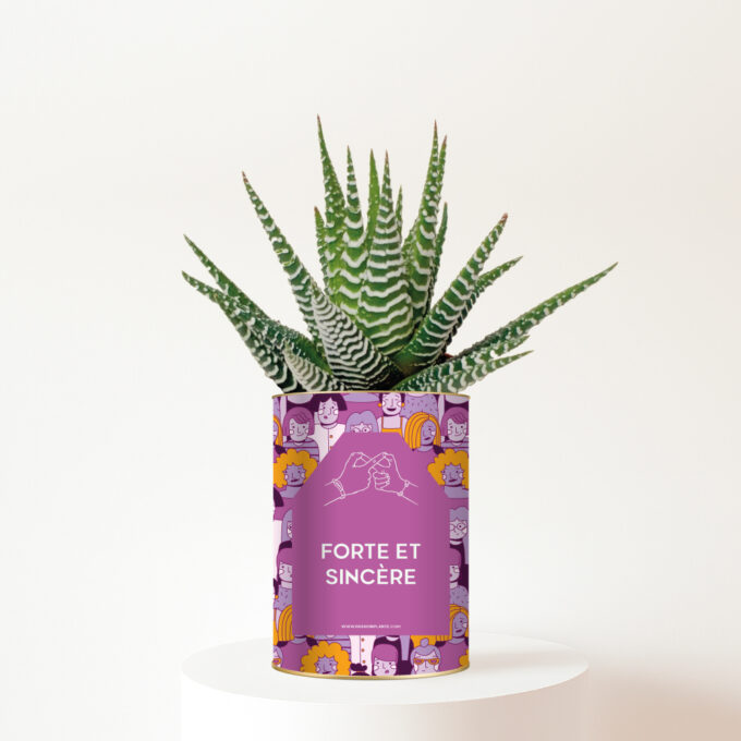 Plante-personnalisee-amitie-filles Forte et sincère - Cadeau d’amitié entre filles plein de sens - Gasteria personnalisée