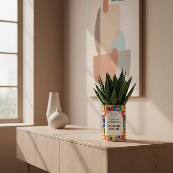 Aloe personnalisé Pour toi Maman - Cadeau plein de douceur