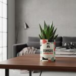 Connard adorable - Succulente personnalisée humour - Le cadeau fun et tendre pour un ami