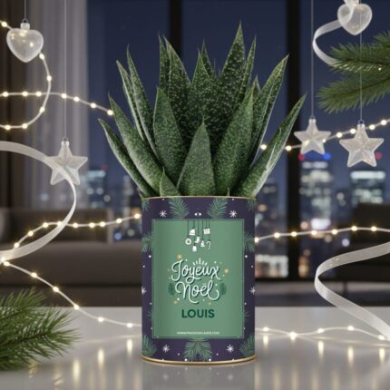 Joyeux Noël - Plante Gasteria personnalisée, festive et naturelle à offrir