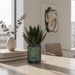 Joyeux Noël - Plante Gasteria personnalisée, festive et naturelle à offrir