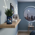 Plante personnalisée Astronaute Haworthia Gasteria