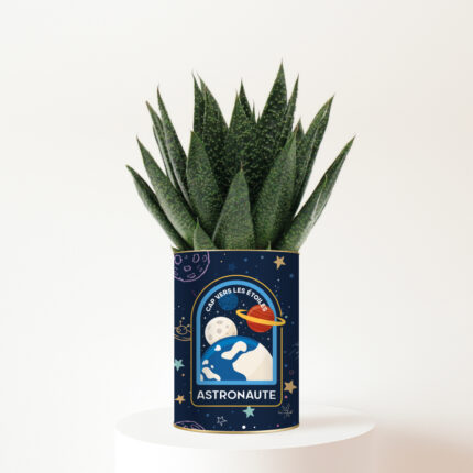 Plante personnalisée Astronaute Haworthia Gasteria
