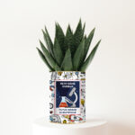 Petit Génie Curieux, Futur Grand Scientifique - Plante personnalisée