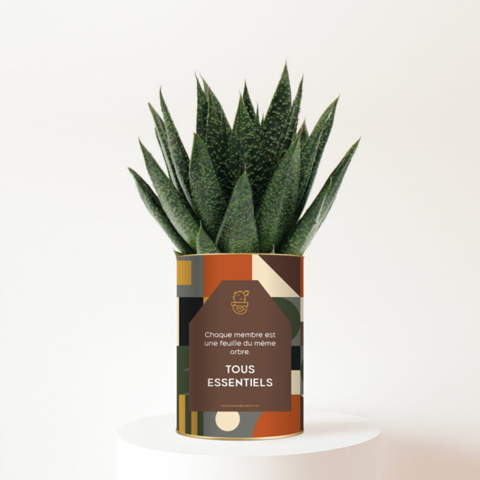 Tous essentiels - Plante personnalisée en hommage à la famille