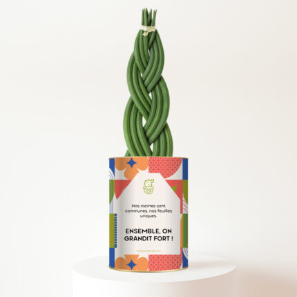 Ensemble, on grandit fort - Plante personnalisée symbole de la famille et de l’unité