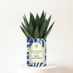 Terre commune - Plante personnalisée symbole des liens familiaux