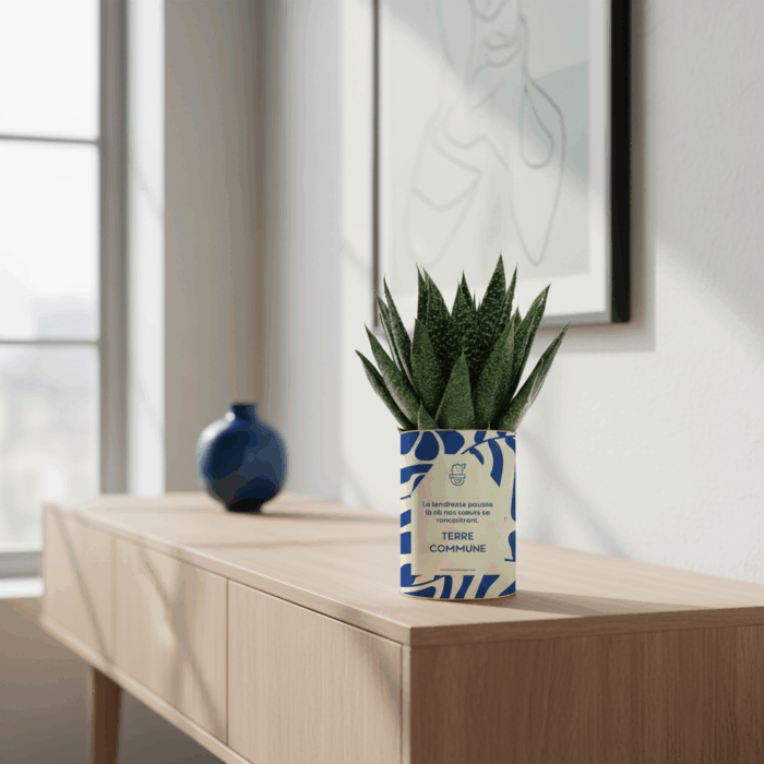 Terre commune - Plante personnalisée symbole des liens familiaux