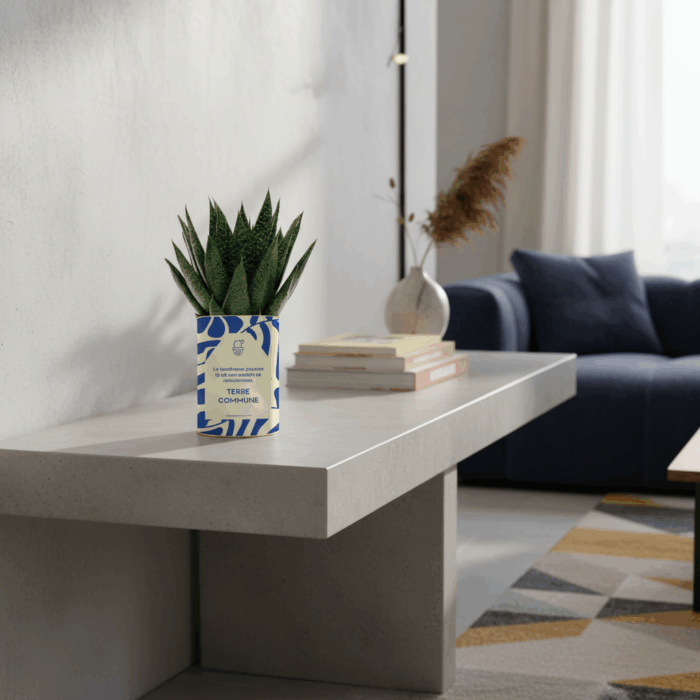 Terre commune - Plante personnalisée symbole des liens familiaux