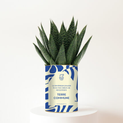 Terre commune - Plante personnalisée symbole des liens familiaux